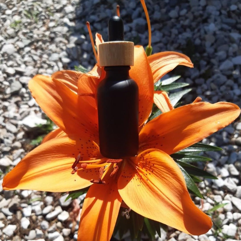 Black seed droplet bottle on snapdragon flower 